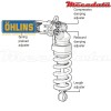 Amortisseur Ohlins TRIUMPH DAYTONA 675 (2006-2012) TR 362 TTX GP (T36PR1C1LB)