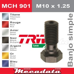 Vis à tête creuse M10 x 1,25TRW Lucas MCH 901