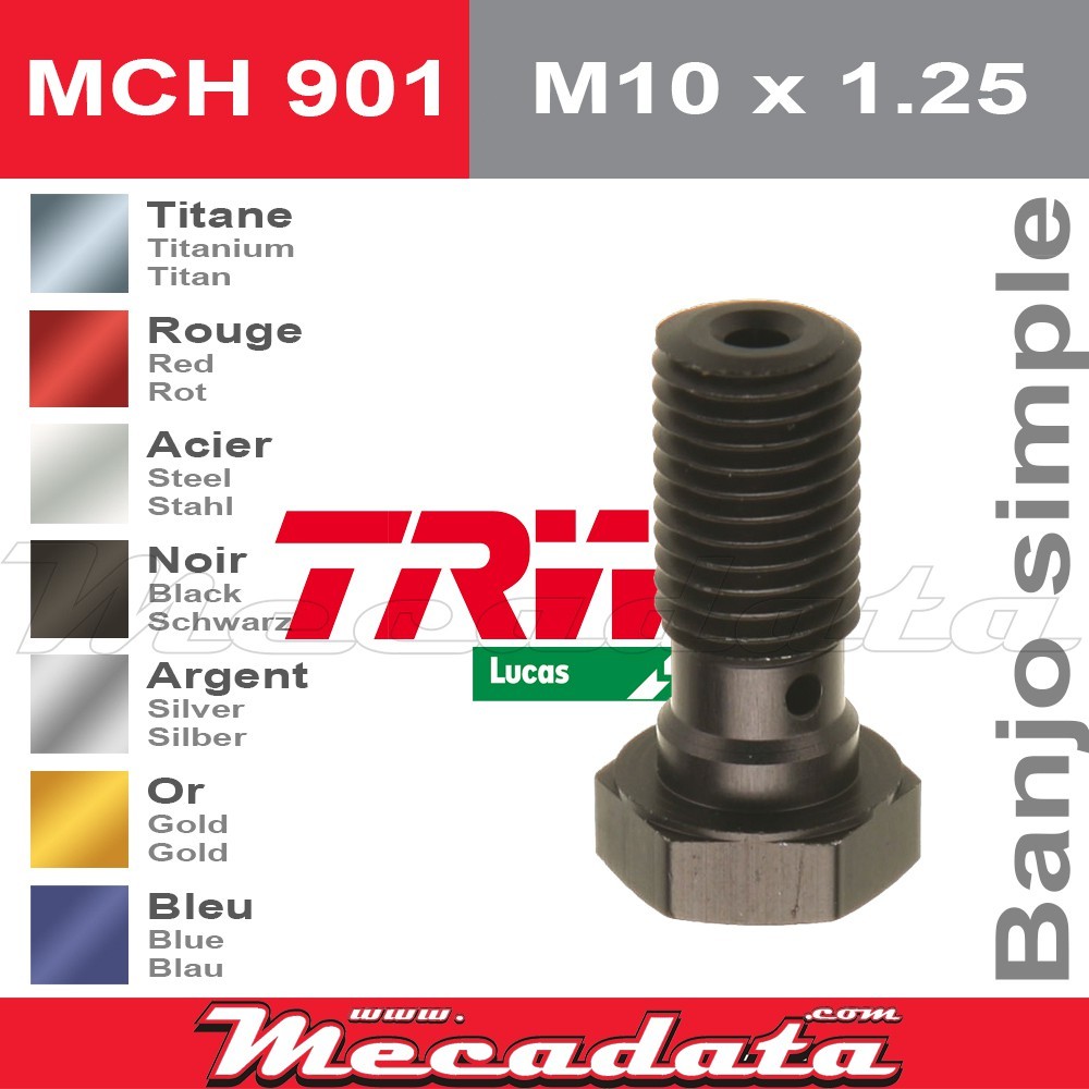 Vis à tête creuse M10 x 1,25TRW Lucas MCH 901