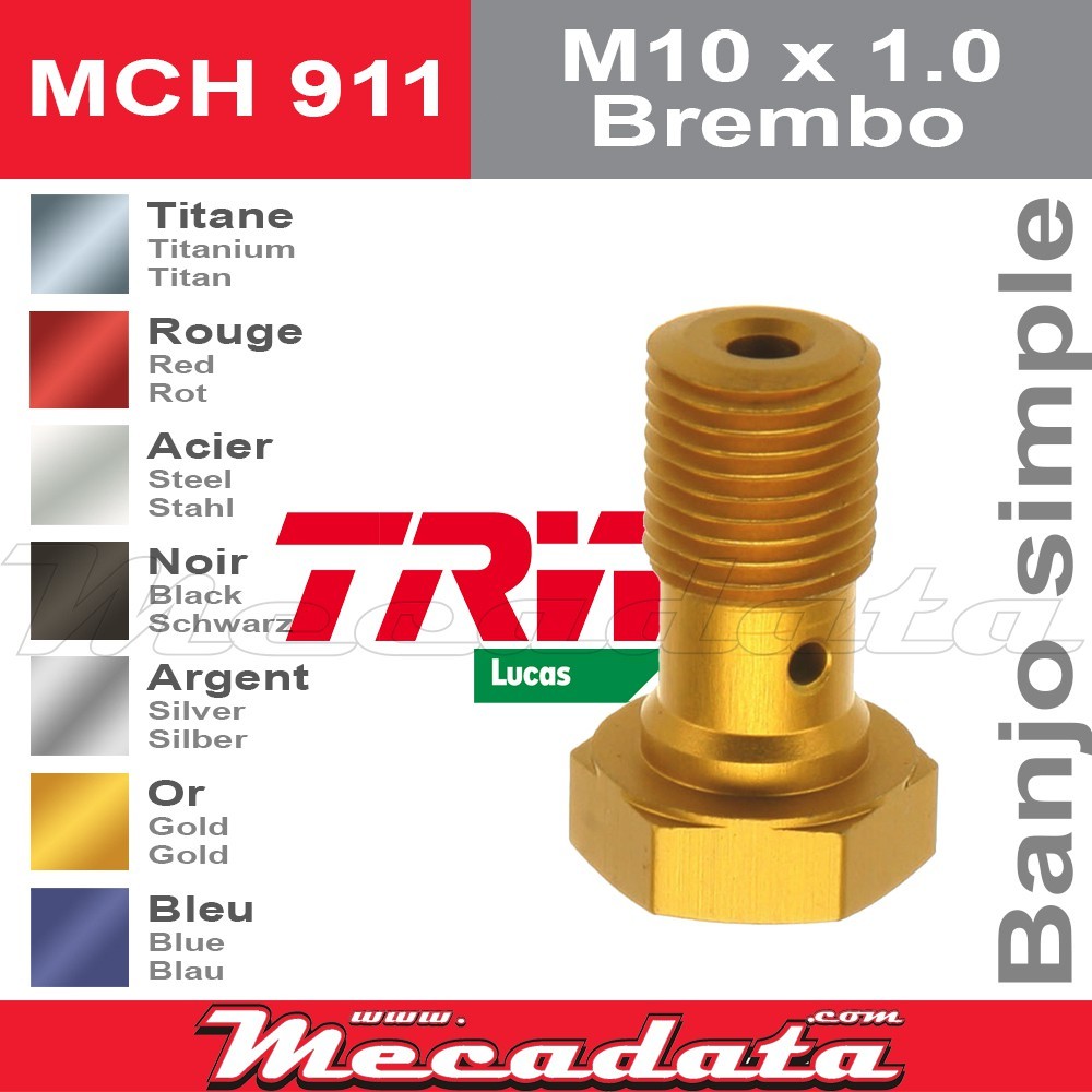 Vis à tête creuse M10 x 1,0 BremboTRW Lucas MCH 911