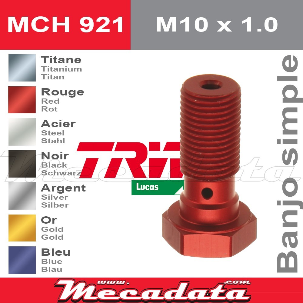 Vis à tête creuse M10 x 1,0TRW Lucas MCH 921