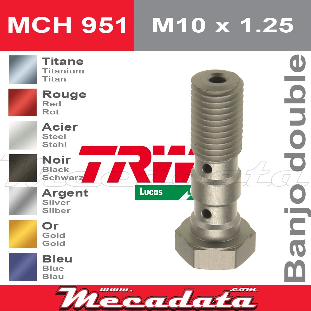 Vis à tête creuse M10 x 1,25TRW Lucas MCH 951
