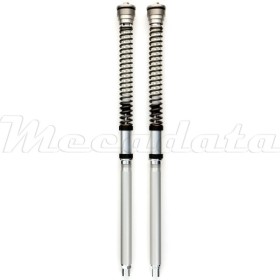 Kit cartouches de fourche Ohlins NIX 30 mm pour Aprilia RSV 4 Factory 2010-12