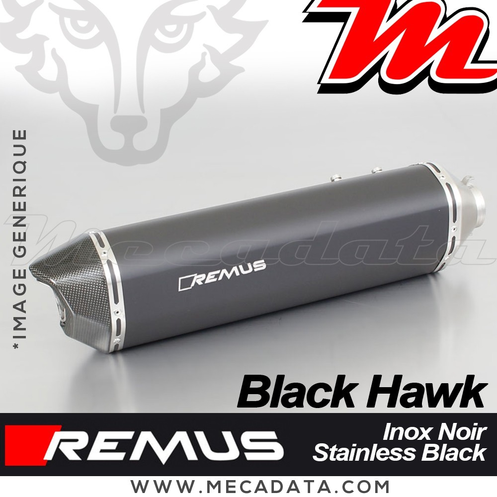 Silencieux Pot d'échappement REMUS Black Hawk BMW F 800 R 2017+