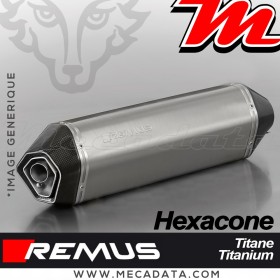 Silencieux Pot d'échappement TRIUMPH Tiger 800 XRx 2015+ REMUS Hexacone