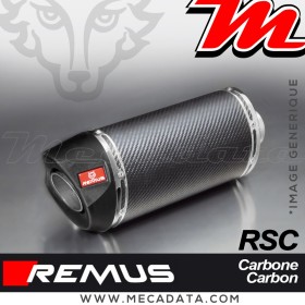 Silencieux Pot d'échappement KTM 390 Duke 2013 - 2016 KTM 390 RC 2014 - 2016 REMUS RSC