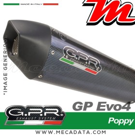 Silencieux Pot d'échappement ~ GPR GP Evo4 Poppy