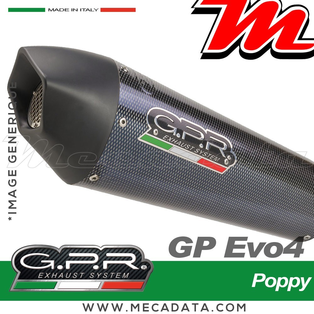 Silencieux Pot d'échappement ~ GPR GP Evo4 Poppy