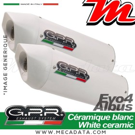 Silencieux Pot d'échappement ~ GPR Albus Evo4 BI
