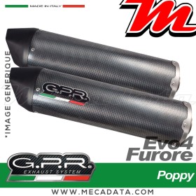 Silencieux Pot d'échappement ~ GPR Furore Evo4 Poppy BI