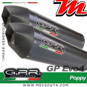 Silencieux Pot d'échappement ~ GPR GP Evo4 Poppy BI