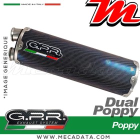 Ligne complète d'échappement ~ GPR Dual Poppy