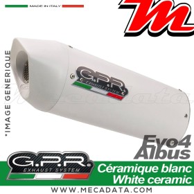 Ligne complète d'échappement ~ GPR Albus Evo4