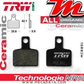 Plaquettes de frein Arrière ~ Beta 300 Evo 2T/4T 2009+ ~ TRW Lucas MCB 851
