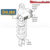 Amortisseur Ohlins BMW S 1000 RR (2012-2016) BM 358 TTX RT (T36PR1C1L)