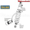 Amortisseur Ohlins BMW F 800 GS ADVENTURE (2014-2016) BM 305 (S46HR1C1B)