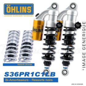 Amortisseur Ohlins DUCATI SPORT CLASSIC - SPORT 1000 S (2007-2009) DU 7191 PFP (S36PR1C1LB)