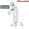 Amortisseur Ohlins DUCATI 899 PANIGALE (2014-2015) DU 361 TTX GP (T36PR1C1LS)