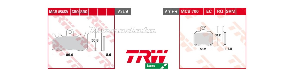800 Rivale, ABS 13-